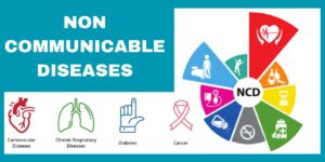 Read more about the article (NCDs) Non-Communicable Diseases: Understanding, Preventing